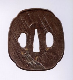 Kano Natsuo 6
