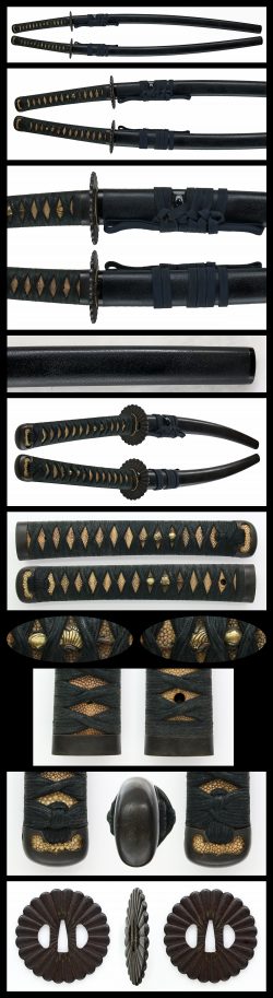 Koshirae :
Tsuba : Chrysanthemum design iron tsuba with inlay.
Fuchikashira : Shakudo plate
Saya ...